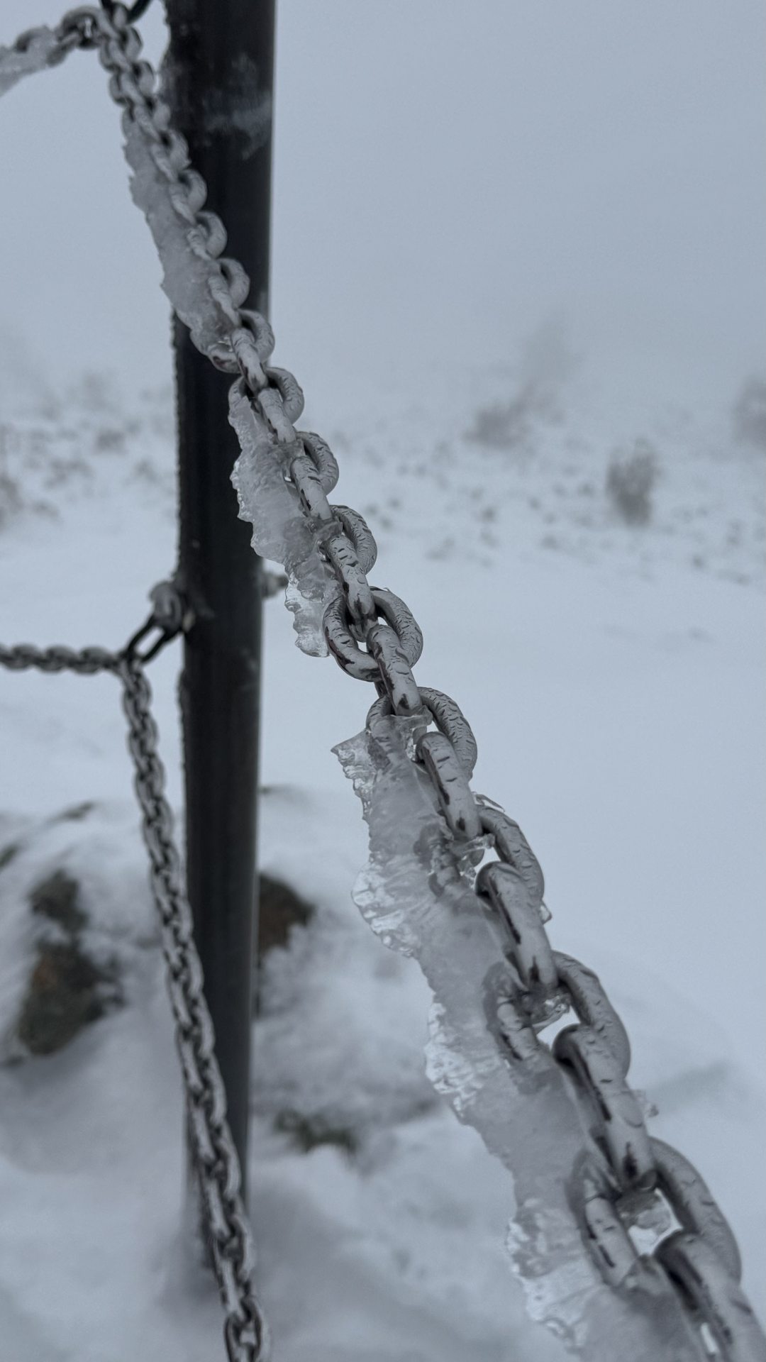 Winter expedition